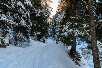 Empty snow covered path running alongside a creek in a forest in the mountains at sunset in winter