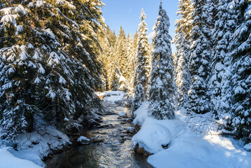 Creek running through a snowy forest in the mountains on a sunny winter day. Winter wonderland.