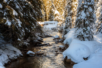 Mountain stream through a snowy forest at sunset in winter