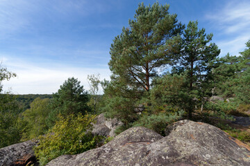 Fototapeta na wymiar Point of view on the hills of the Gorges of Apremont. Fontainebleau forest