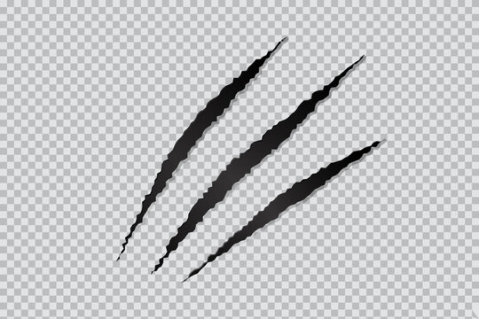 Three cat scratches on transparent background.