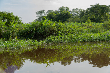 La ciénaga - Antioquia