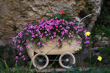 Baby stroller with beautiful petunia flowers