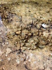 Under water structures