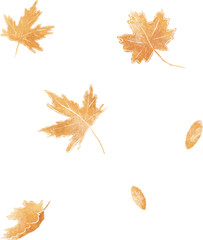 Autumn leaves hand drawn illustration - 658356238