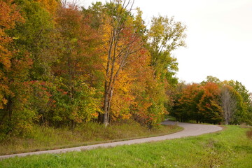 Road winding through colorful autumn forest. Fall season. Wisconsin, USA. 