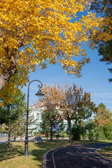 Beautiful park in fall season. Bright autumn trees with falling yellow leaves in the park. Beautiful sunny autumn day. Autumn landscape in the city