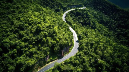 Aerial view of a road in the middle of the green forest 