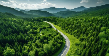 Aerial view of a road in the middle of the green forest 