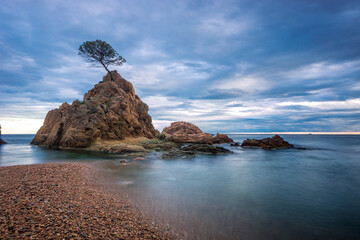 Monta&ntilde;a con arbol