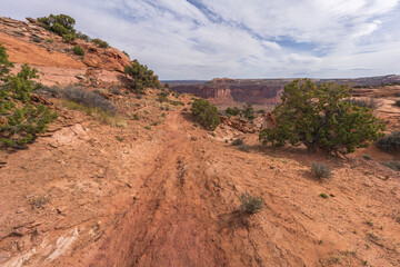hiking the alcove spring trail, canyonlands national park, usa