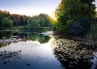 Pond at sunset