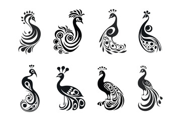 Fototapeta premium Peacock Ornamental Vector Collection