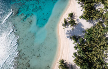Fototapeta na wymiar A stunning beach, adorned with crystal clear turquoise waters gently kissing smooth, golden sands. Tall palm trees sway gracefully. High drone view