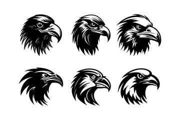 Head Eagle Vector Illustrations Collection