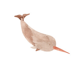 Narwhal Watercolor hand drawn illustration - isolated on white background. Nautical fish © Natali