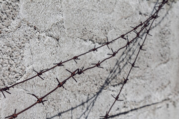 Old rusty barbed wire on the background of a concrete wall close-up selective focus