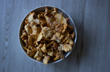 Chanterelle mushrooms (Cantharellus cibarius) in a white bowl over a wooden table
