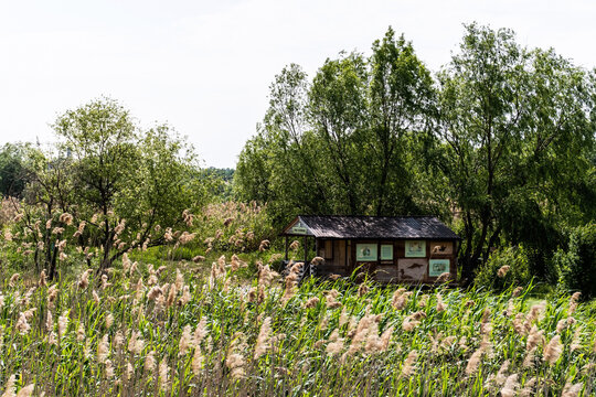 Vacaresti Delta or Vacaresti natural park. Bucharest, Romania.