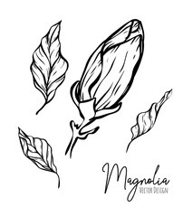 Magnolia flower line illustration set. Handdrawn contour outline of wedding herb, elegant leaves for invitation save the date card. Botanical trendy greenery vector collection for web, print, posters.