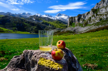Glass of natural Asturian cider made from fermented apples with view on Covadonga lake and tops of...