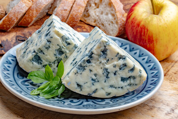 Cheese collection, piece of French blue cheese auvergne or fourme d'ambert