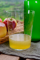 Natural Asturian cider made from fermented apples and Asturian cow smoked cheese and view Picos de Europa mountains on background, Spain