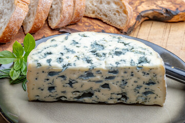 Cheese collection, piece of French blue cheese auvergne or fourme d'ambert