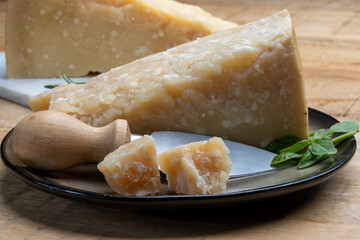 Cheese collection, hard yellow Italian cheese parmesan or parmigiano reggiano