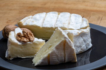 French soft Camembert cheese, original Camembert de Normandie