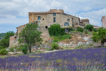 Farm in Provence - 658383291