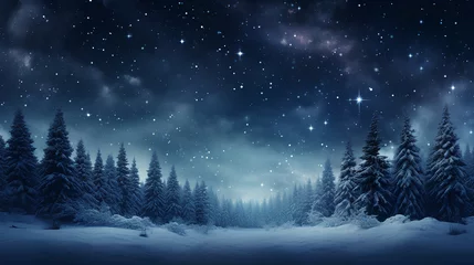 Fotobehang winter night landscape. snowy forest and fir branches.  © EvhKorn