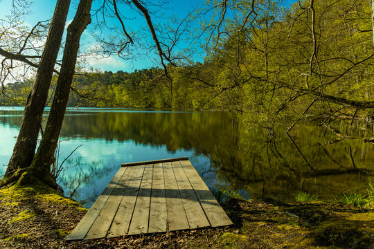 Jetty on lake in the wild forest