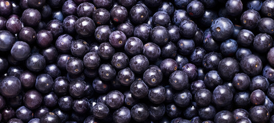 Fresh acai berry fruits, closeup macro detail. Generative AI