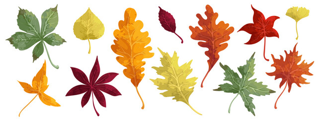 Fototapeta premium Colorful autumn leaves.Vector graphics.