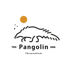 vintage retro hipster pangolin logo vector outline monoline art icon