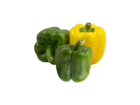 Capsicum, Three Various Color Green Yellow Tasty Capsicums