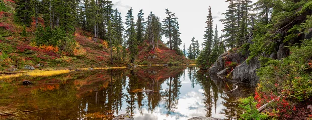 Fotobehang Chocoladebruin Lake on top of a Mountain with colorful wild flowers and trees in Fall Season.  © edb3_16