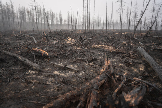 Les incendies au Quebec - 2023