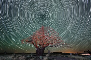 startrails stars milky way planets meteors night space landscape sky skyknight universe comets