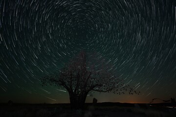startrails stars milky way planets meteors night space landscape sky skyknight universe comets