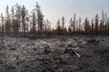 Les incendies au Quebec - 2023