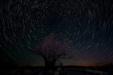 startrails stars milky way planets meteors night space landscape sky skyknight universe comets