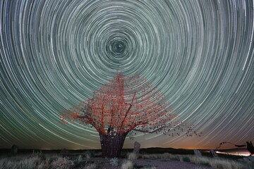 startrails stars milky way planets meteors night space landscape sky skyknight universe comets