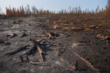 Les incendies au Quebec - 2023