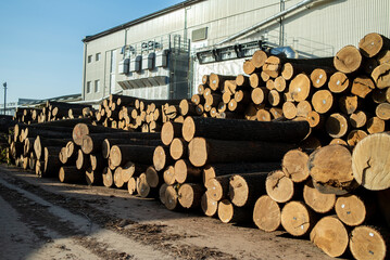 stack of wood. Woodworking industry. Preparation and processing of wooden logs