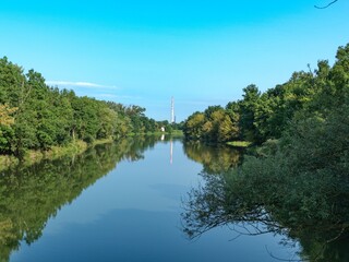 Fototapeta premium pure water river in the wood