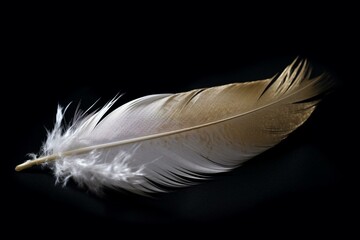 A detailed photo of a white feather with a golden end against a black backdrop. Generative AI