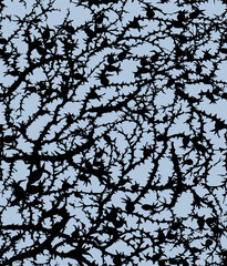 Branches of Blackthorn. Vector drawing