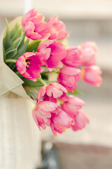 Pink Tulip Flowers